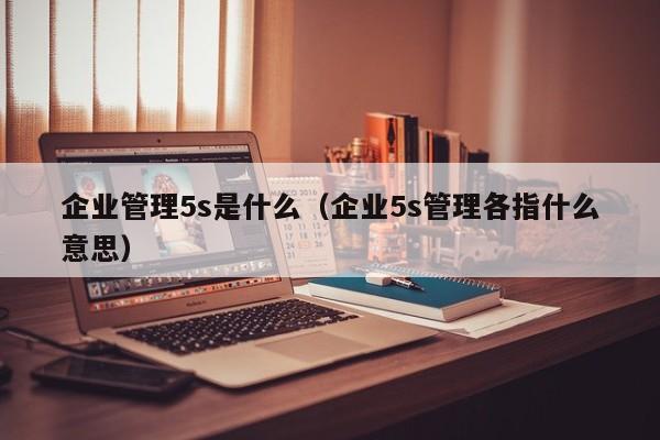 企业管理5s是什么（企业5s管理各指什么意思）