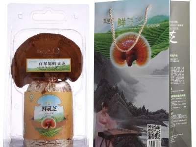 2020财富商机-灵芝招商加盟-仙草传世富硒灵芝图2