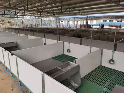 养猪场仔猪简欧PVC保育床图3