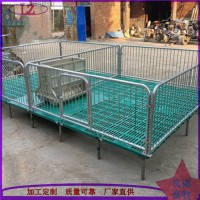 养猪场猪舍仔猪热镀锌大架复合漏粪板保育床