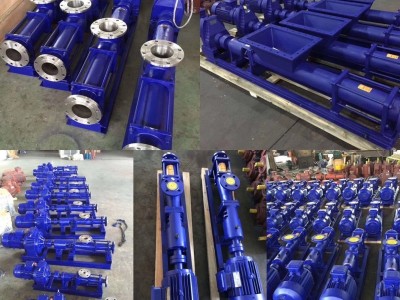 G型单螺杆泵、螺杆泵厂商，上海三利用心做好每一件事情图3