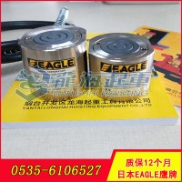 30吨EAGLE薄型液压千斤顶,钢厂用薄型液压千斤顶现货