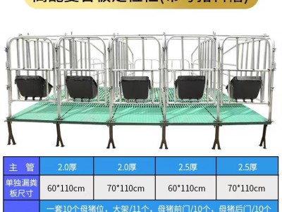 猪场母猪定位栏落地式定位栏带板定位栏可定制图3