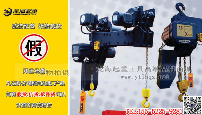 双钩环链电动葫芦小图1