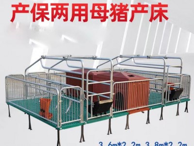 猪场母猪产床双体热镀锌大架复合保温箱母猪复合产床图2