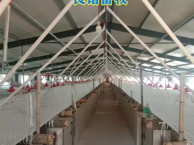 养猪场母猪妊娠期限位栏和限位栏的好处图3