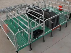 养殖场母猪产床复合双体热镀锌大架球墨铸铁腿产床
