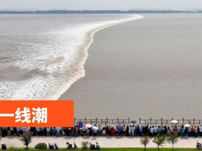 苏州青少年三六六社会实践探索钱塘江大潮自然奥秘研学旅行活动图3