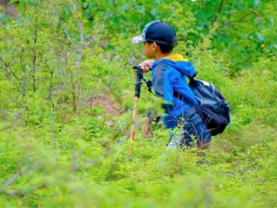 苏州三六六社会实践中小学自然科考研学旅行山野徒步体验探索活动图2