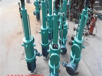 厂家直供电动推杆 整体交流式化工冶金水利电动液压推杆图3
