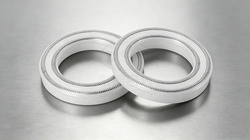 双层弹簧泛塞封密封件800